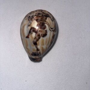 Decorative Brown and Cream Ceramic Vase